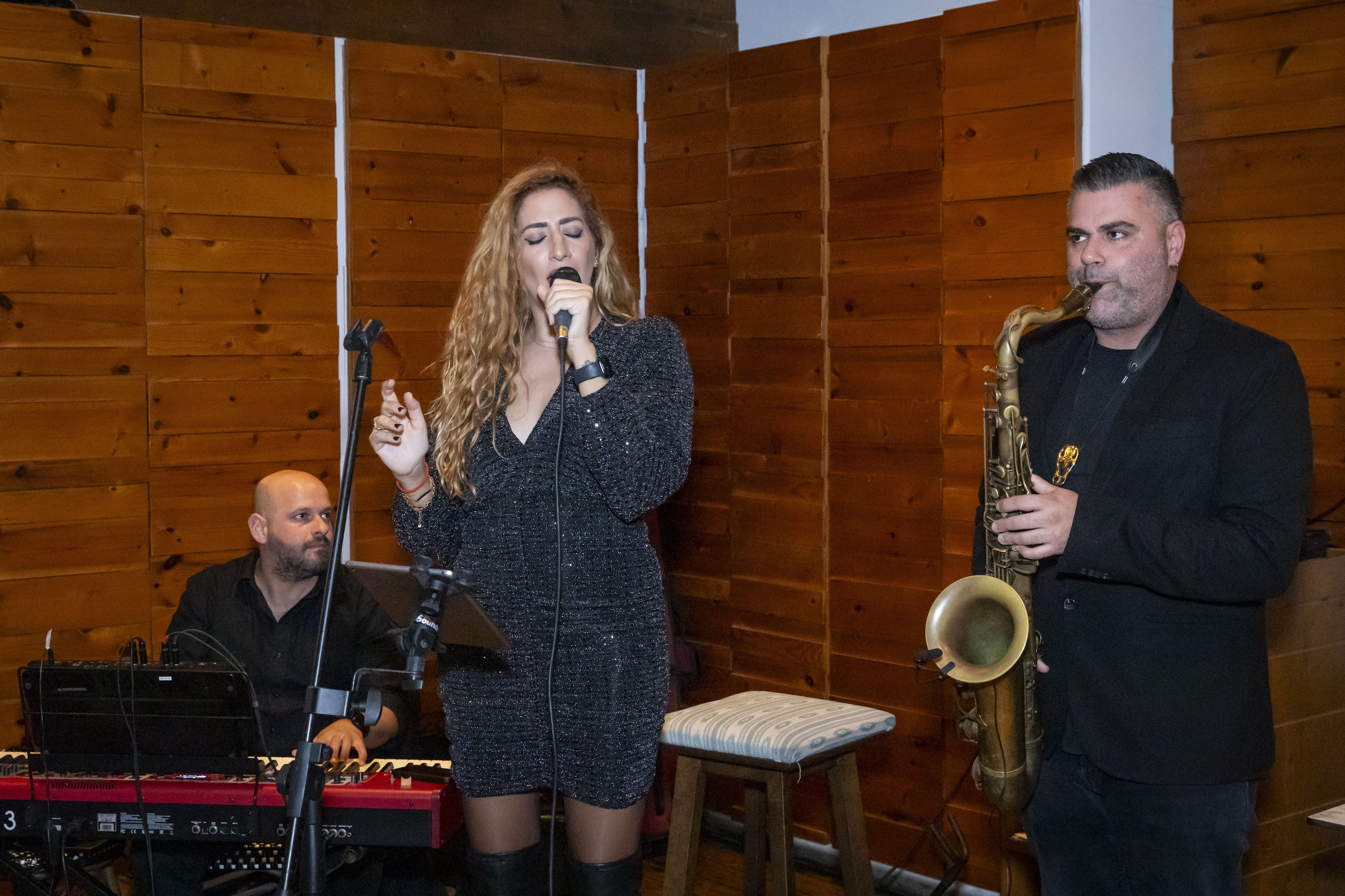 The JAZZ Lounge Trio